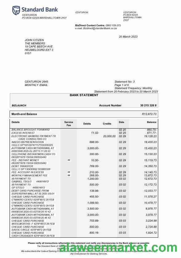 USA Standard Bank statement Word and PDF template, 6 pages